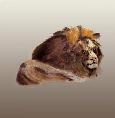 Lions