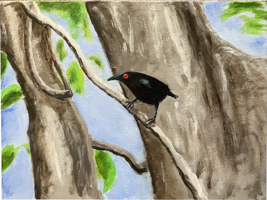 Asian Glossy Starling - #2 - Acrylic Painting