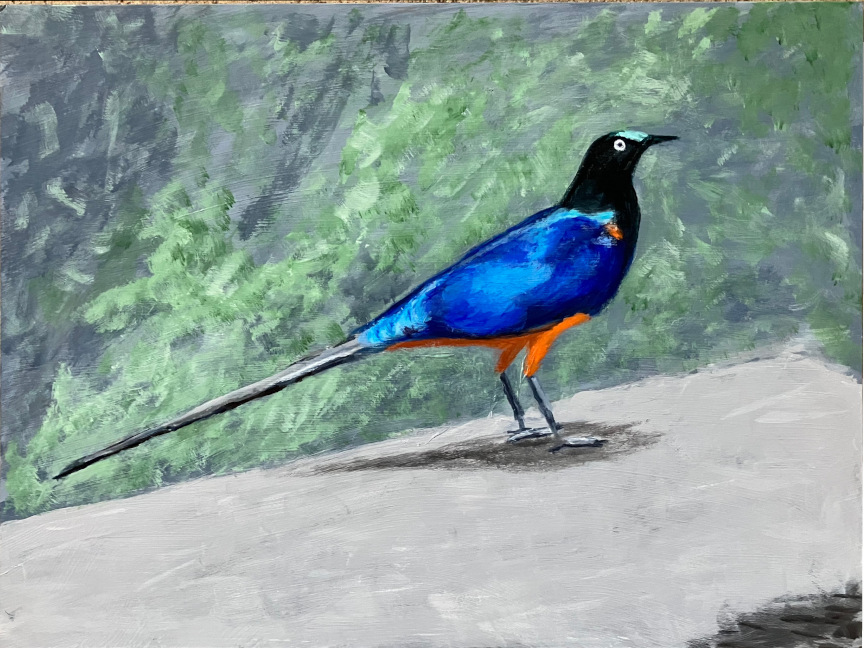 Asian Glossy Starling - Acrylic Painting
