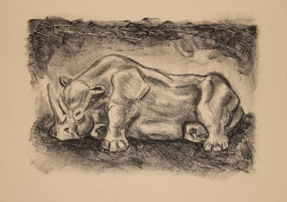 Rhinoceros Stone Lithograph
