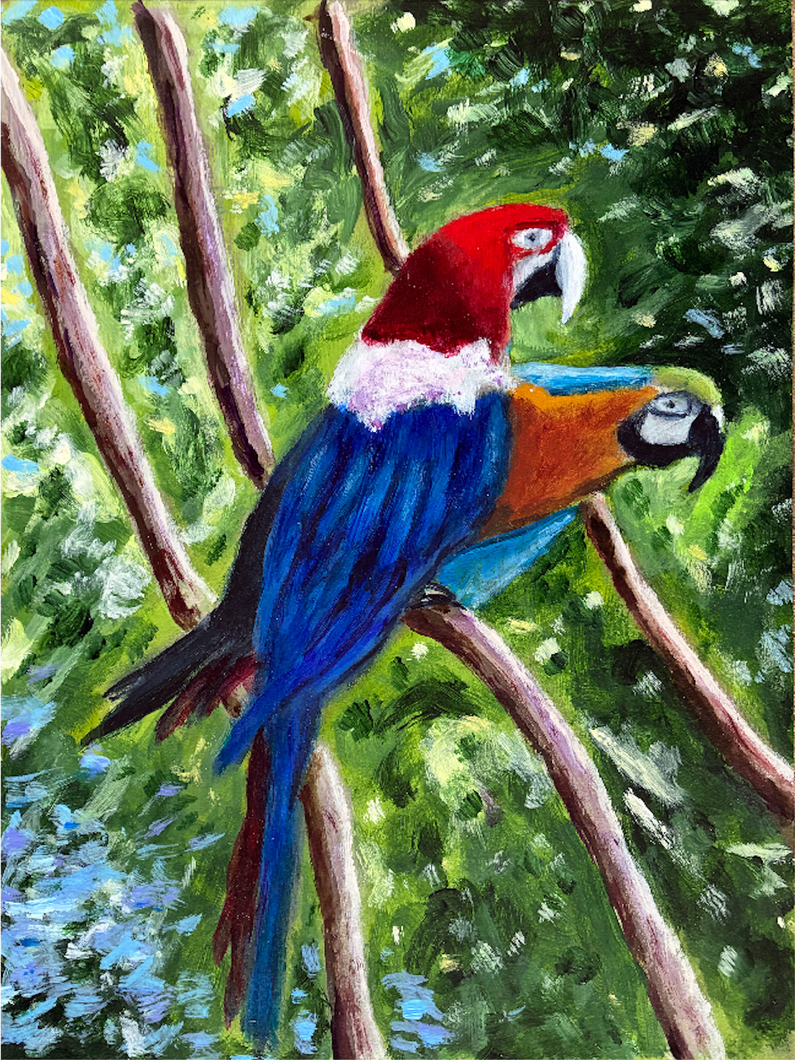 Two Macaws